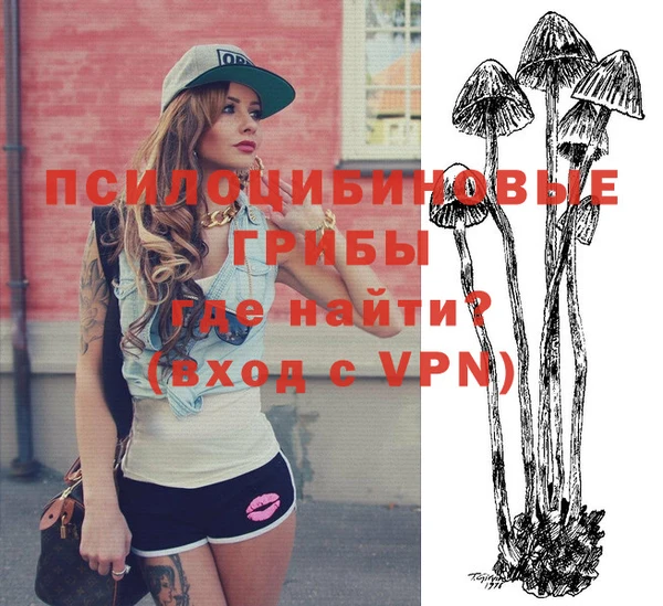 дурь Усмань