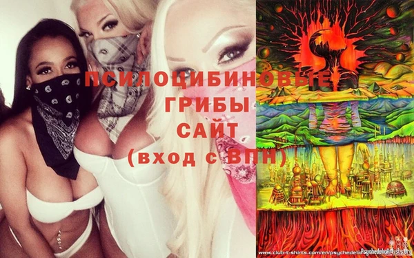 мяу мяу мука Горно-Алтайск